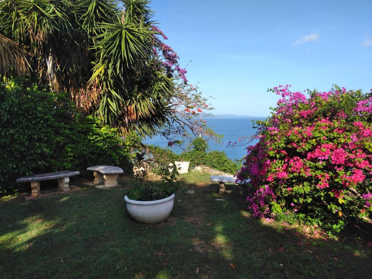 Irresistible View-Mobay Club 1408 Lägenhet Montego Bay Exteriör bild