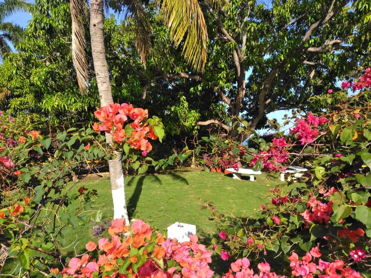 Irresistible View-Mobay Club 1408 Lägenhet Montego Bay Exteriör bild