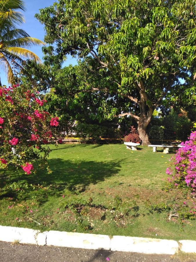 Irresistible View-Mobay Club 1408 Lägenhet Montego Bay Exteriör bild
