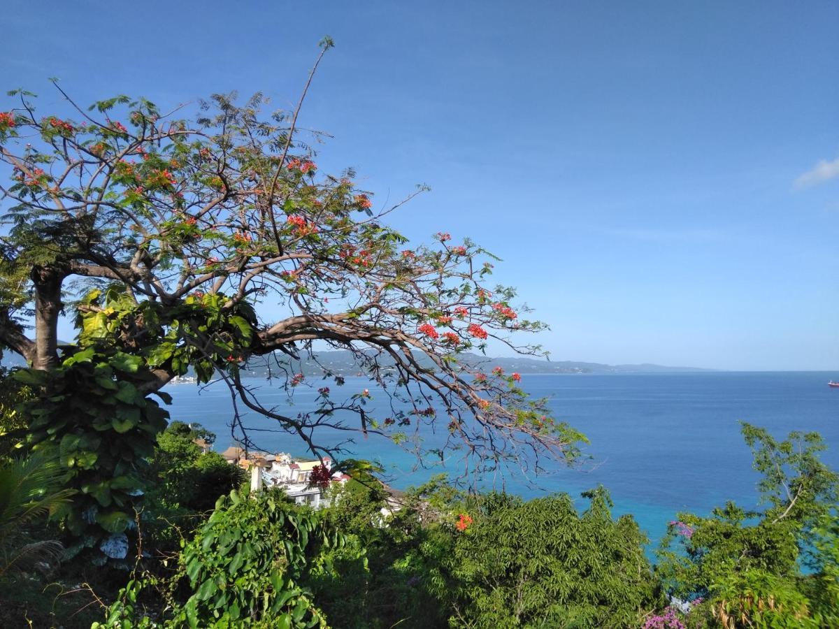 Irresistible View-Mobay Club 1408 Lägenhet Montego Bay Exteriör bild